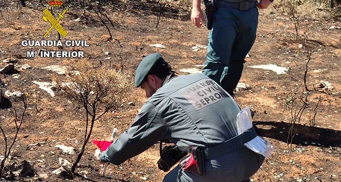 El SEPRONA investiga a una persona como supuesto autor del incendio forestal de Yunquera de Henares 1 El SEPRONA investiga a una persona como supuesto autor del incendio forestal de Yunquera de Henares