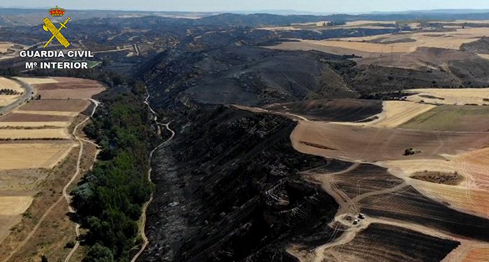 El Seprona investiga al conductor de una cosechadora como supuesto autor del incendio forestal de Cerezo de Mohernando 1 El Seprona investiga al conductor de una cosechadora como supuesto autor del incendio forestal de Cerezo de Mohernando