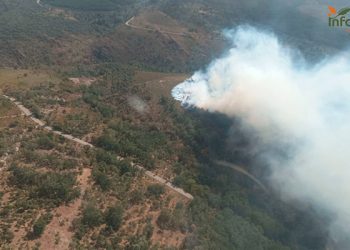 Controlado el incendio en Valverde de los Arroyos