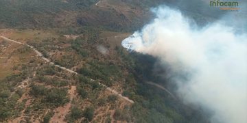 Fuego en Valverde de los Arroyos