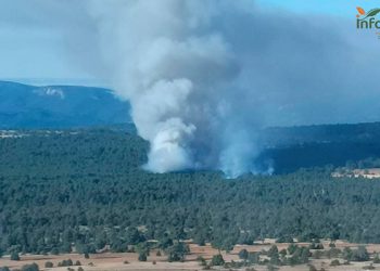 Controlado el incendio en Carrascosa de la Sierra