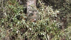 La caza se movilizará en Madrid y Castilla-La Mancha si la Ley de Bienestar Animal Estatal es aprobada