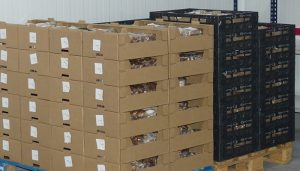 Los productos de Cuenca están de moda en el exterior