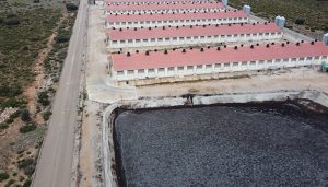 Macrogranja de la provincia de Cuenca