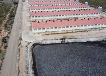 Macrogranja de la provincia de Cuenca