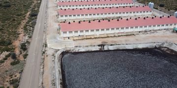 Macrogranja de la provincia de Cuenca