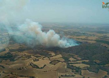Extinguido el incendio en San Lorenzo de la Parrilla