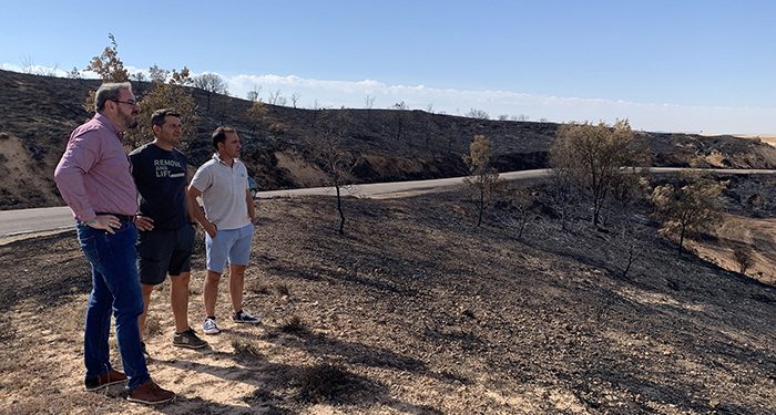 Robles visita las zonas afectadas por el fuego en Copernal y Espinosa de Henares 1 Robles visita las zonas afectadas por el fuego en Copernal y Espinosa de Henares