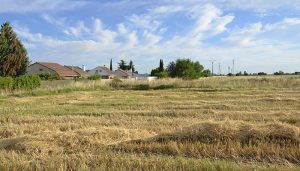 Terrenos afectados por proyecto ALMA, en Azuqueca