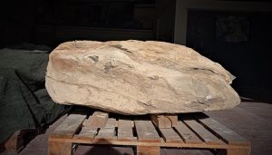 Un bloque de caliza con restos óseos de un posible dinosaurio del Cretácico Inferior del yacimiento de Buenache de la Sierra llega al MUPA