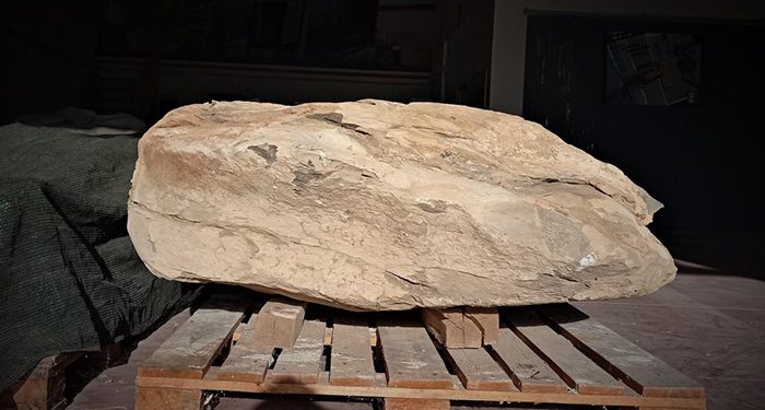 Un bloque de caliza con restos óseos de un posible dinosaurio del Cretácico Inferior del yacimiento de Buenache de la Sierra llega al MUPA