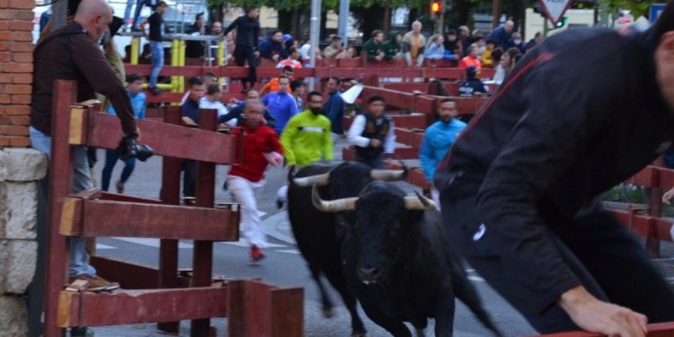 Dos heridos por asta de toro trasladados al Hospital en el último encierro de Guadalajara