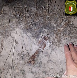 Agentes Medioambientales encuentran un obús de la Guerra Civil en Cogolludo
