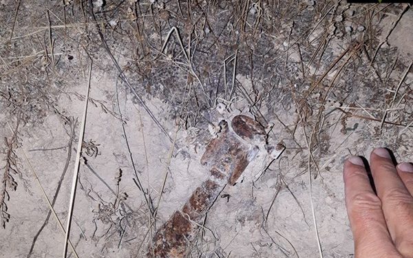 Agentes Medioambientales encuentran un obús de la Guerra Civil en Cogolludo 1 Agentes Medioambientales encuentran un obús de la Guerra Civil en Cogolludo