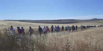 Castilla-La Mancha retoma este domingo la iniciativa ‘7.000pasosX’ tras el éxito de su primera edición