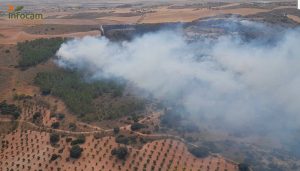 Declarado un incendio agrícola en Palomares del Campo
