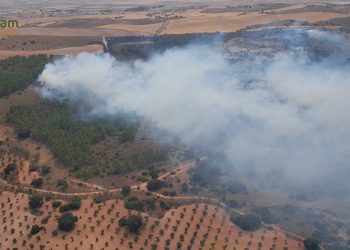 Declarado un incendio agrícola en Palomares del Campo