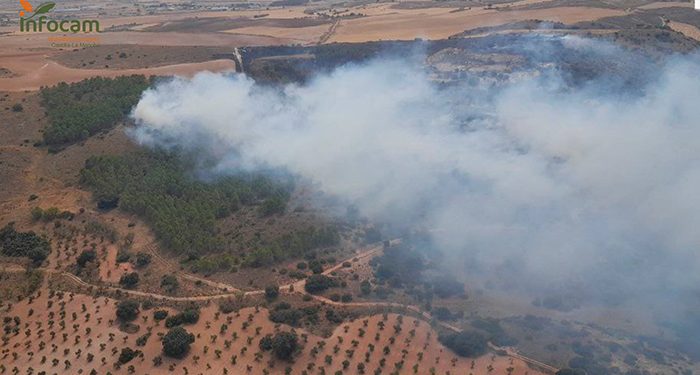 Declarado un incendio agrícola en Palomares del Campo