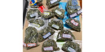 Desarticulado en Guadalajara un grupo organizado dedicado a enviar droga en paquetes postales
