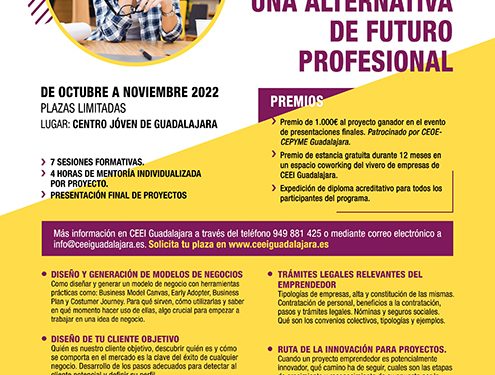 El Ayuntamiento de Guadalajara y el Centro Europeo de Empresas ponen en marcha un programa de autoempleo para jóvenes