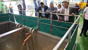 El Gobierno de Castilla-La Mancha estima una campaña de vendimia más corta, por debajo de 20 millones de hectolitros de vino y mosto, y rentable para todos