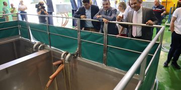 El Gobierno de Castilla-La Mancha estima una campaña de vendimia más corta, por debajo de 20 millones de hectolitros de vino y mosto, y rentable para todos