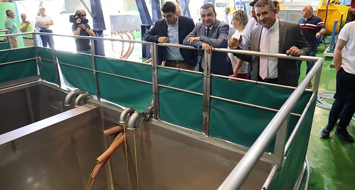 El Gobierno de Castilla-La Mancha estima una campaña de vendimia más corta, por debajo de 20 millones de hectolitros de vino y mosto, y rentable para todos 1 El Gobierno de Castilla-La Mancha estima una campaña de vendimia más corta, por debajo de 20 millones de hectolitros de vino y mosto, y rentable para todos