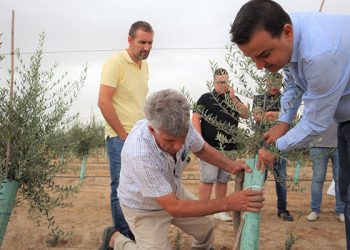 El Gobierno regional abona en octubre nueve millones de euros a los 1.078 olivicultores afectados por Filomena para hacer frente a los gastos 10 El Gobierno regional abona en octubre nueve millones de euros a los 1.078 olivicultores afectados por Filomena para hacer frente a los gastos