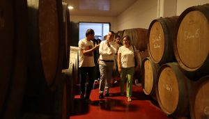 El Gobierno regional destaca el valor del vino embotellado, con denominación y que ahora podrá contar con la diferenciación de ‘vinos de finca’