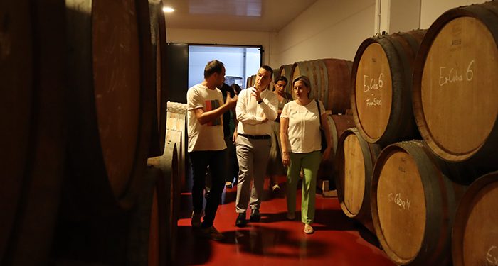 El Gobierno regional destaca el valor del vino embotellado, con denominación y que ahora podrá contar con la diferenciación de ‘vinos de finca’