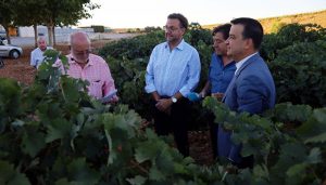 El Gobierno regional inyectará cerca de 600.000 euros para impulsar la mejora de la bodega de la cooperativa Nuestra Señora de Manjavacas
