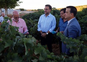 El Gobierno regional inyectará cerca de 600.000 euros para impulsar la mejora de la bodega de la cooperativa Nuestra Señora de Manjavacas 1 El Gobierno regional inyectará cerca de 600.000 euros para impulsar la mejora de la bodega de la cooperativa Nuestra Señora de Manjavacas