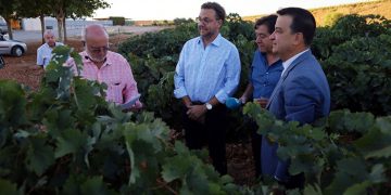El Gobierno regional inyectará cerca de 600.000 euros para impulsar la mejora de la bodega de la cooperativa Nuestra Señora de Manjavacas