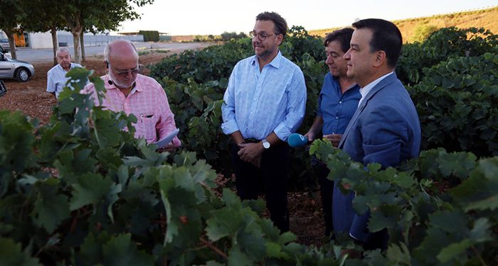 El Gobierno regional inyectará cerca de 600.000 euros para impulsar la mejora de la bodega de la cooperativa Nuestra Señora de Manjavacas