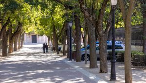 El Paseo de San Roque mejorará su iluminación para peatones y vehículos