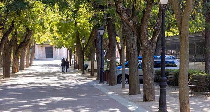 El Paseo de San Roque mejorará su iluminación para peatones y vehículos 1 El Paseo de San Roque mejorará su iluminación para peatones y vehículos