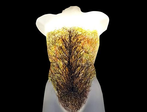 Exposición Miguel B Ortega en Aguirre 1 Exposición Miguel B Ortega en Aguirre