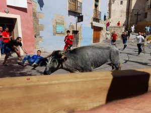 La última tarde de San Mateo deja nueve asistencias, dos por asta de vaca