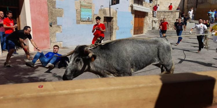 La última tarde de San Mateo deja nueve asistencias, dos por asta de vaca