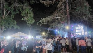 Jueves tranquilo en Guadalajara cuatro quejas por ruido y tres heridos en el toro de fuego