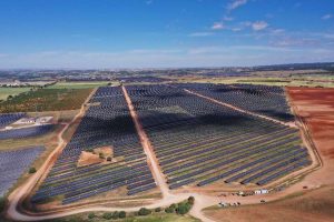 Eranovum pone en marcha sus dos primeras plantas fotovoltaicas en Cuenca con una capacidad de 324 MWp