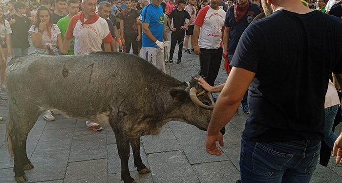REBI celebra San Mateo 2022 con los encargados de los corrales de la suelta de vaquillas 1 REBI celebra San Mateo 2022 con los encargados de los corrales de la suelta de vaquillas