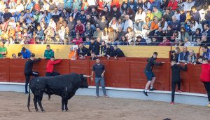 Sin heridos por asta de toro (sí por caídas) en el encierro de este sábado en Guadalajara