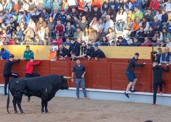 Sin heridos por asta de toro (sí por caídas y un posible infarto) en el encierro de este sábado en Guadalajara