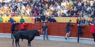 Sin heridos por asta de toro (sí por caídas) en el encierro de este sábado en Guadalajara