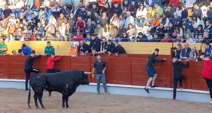 Sin heridos por asta de toro (sí por caídas) en el encierro de este sábado en Guadalajara