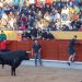 Sin heridos por asta de toro (sí por caídas) en el encierro de este sábado en Guadalajara