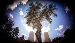 Trillo convoca su V Concurso de Fotografía con un incremento en la cuantía de los premios para atraer mayor participación