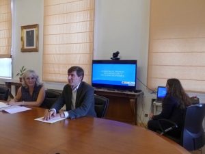 Aumentan de forma considerable en Guadalajara los accidentes de tráfico provocados por animales 