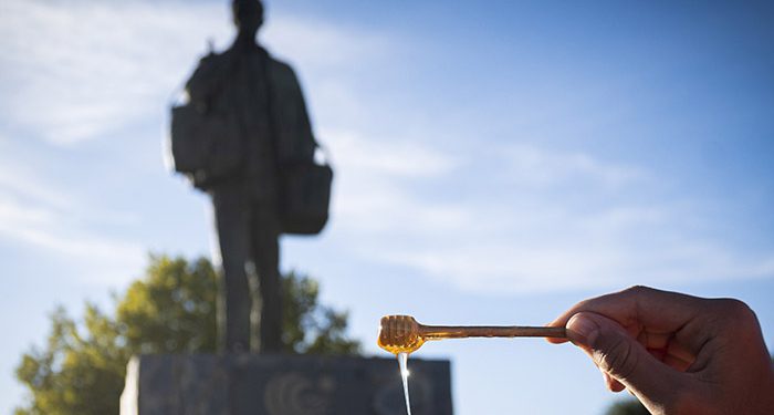Elegidas las 12 fotografías ganadoras del concurso ‘Guadalajara, con los cinco sentidos’